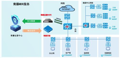 为数字资产保驾护航 青藤正式推出MSS安全托管服务与数字内容制作服务